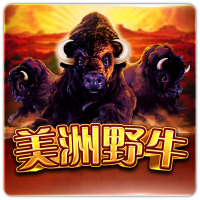 PTG2019美洲野牛